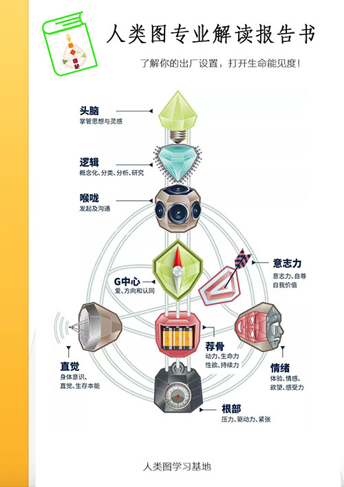 人類圖報告書大約 50 頁，是香港臺灣最有名的人類圖專業分析服務。