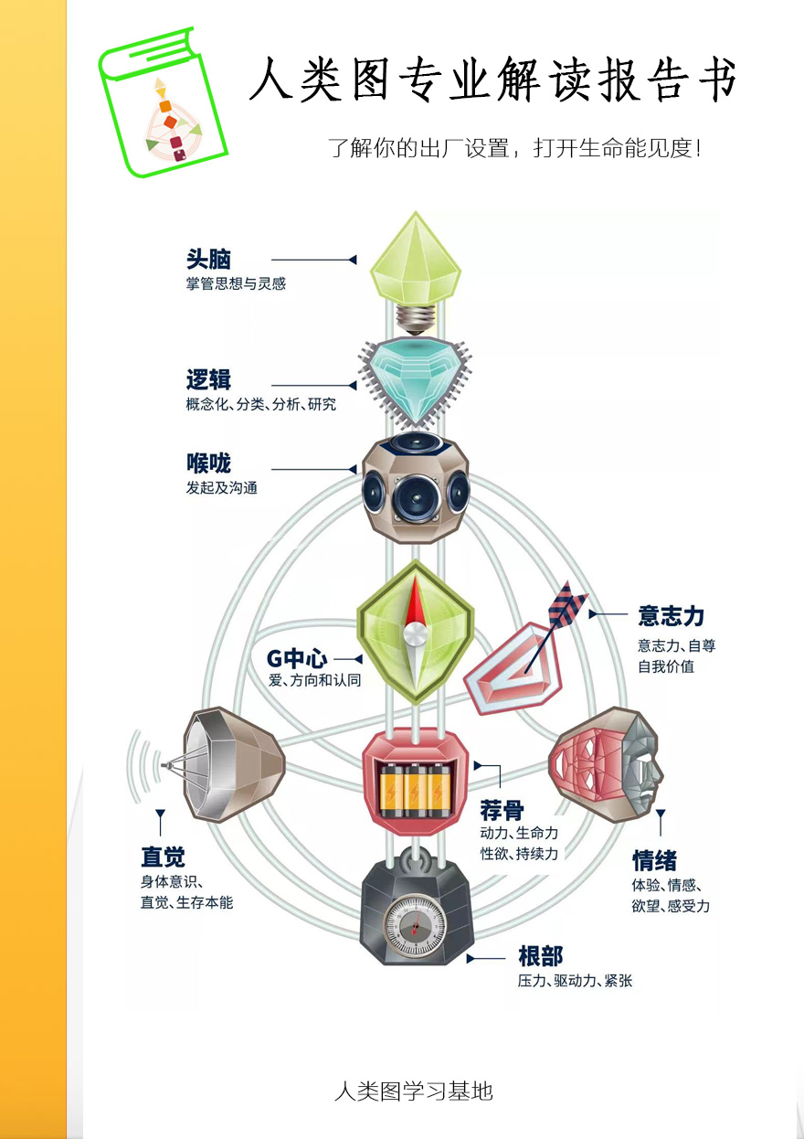 人類圖報告書大約 50 頁，是香港臺灣最有名的人類圖專業分析服務。